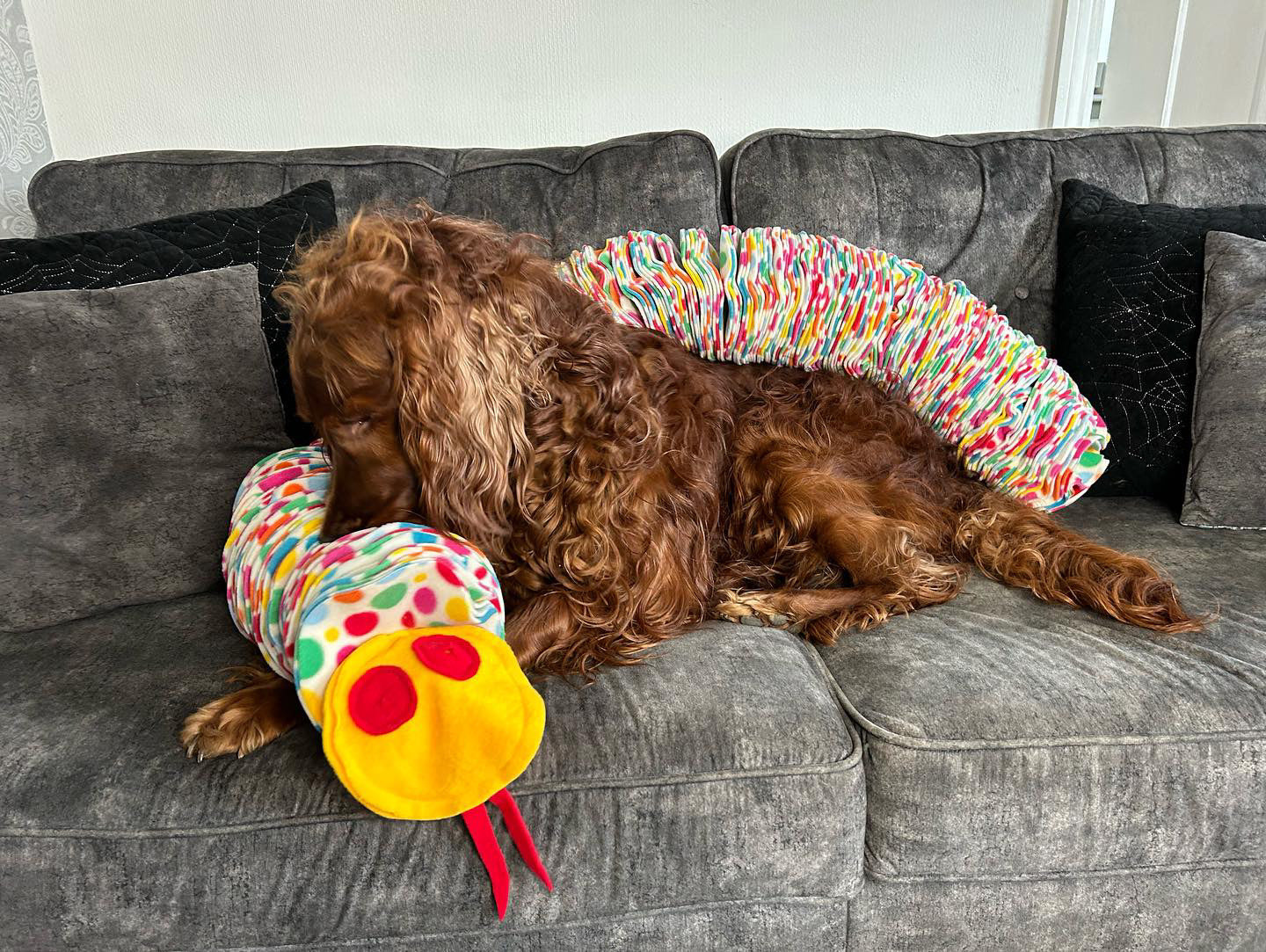 The 1.5 Metre Snuffle Anaconda (Free Postage)