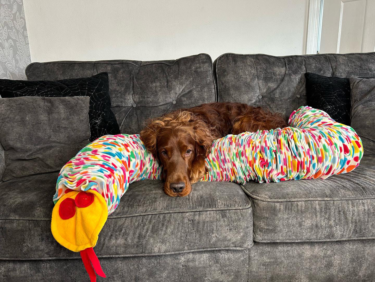 The 1.5 Metre Snuffle Anaconda (Free Postage)