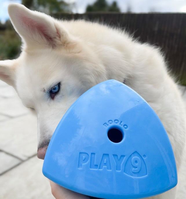 The Roolo Dog Treat Dispenser (free postage)