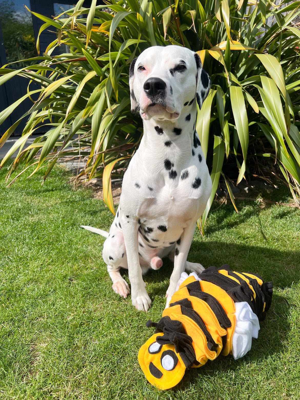 Bumble Buzzle Available In 2 Sizes (Free Postage)