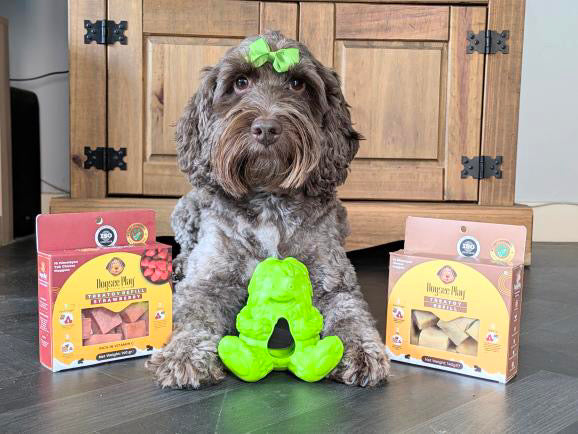 Dogsee Yeti Treat Toy, 3 colours available (Free Postage)