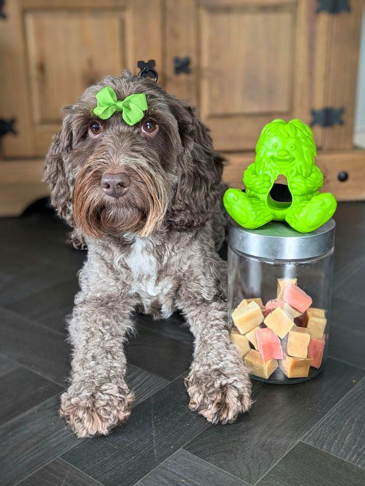 Dogsee Yeti Treat Toy, 3 colours available (Free Postage)