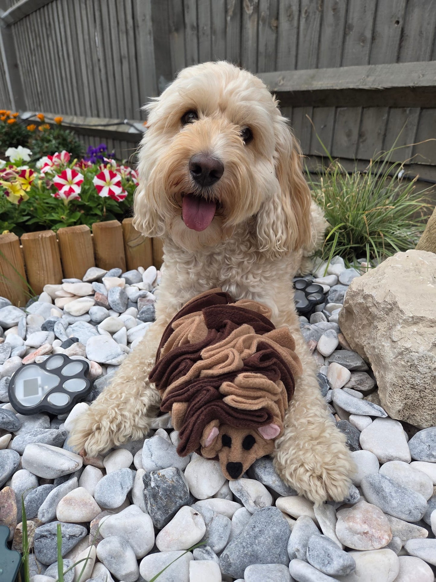 The Snuffle Hog Available In 2 Sizes (Free Postage)