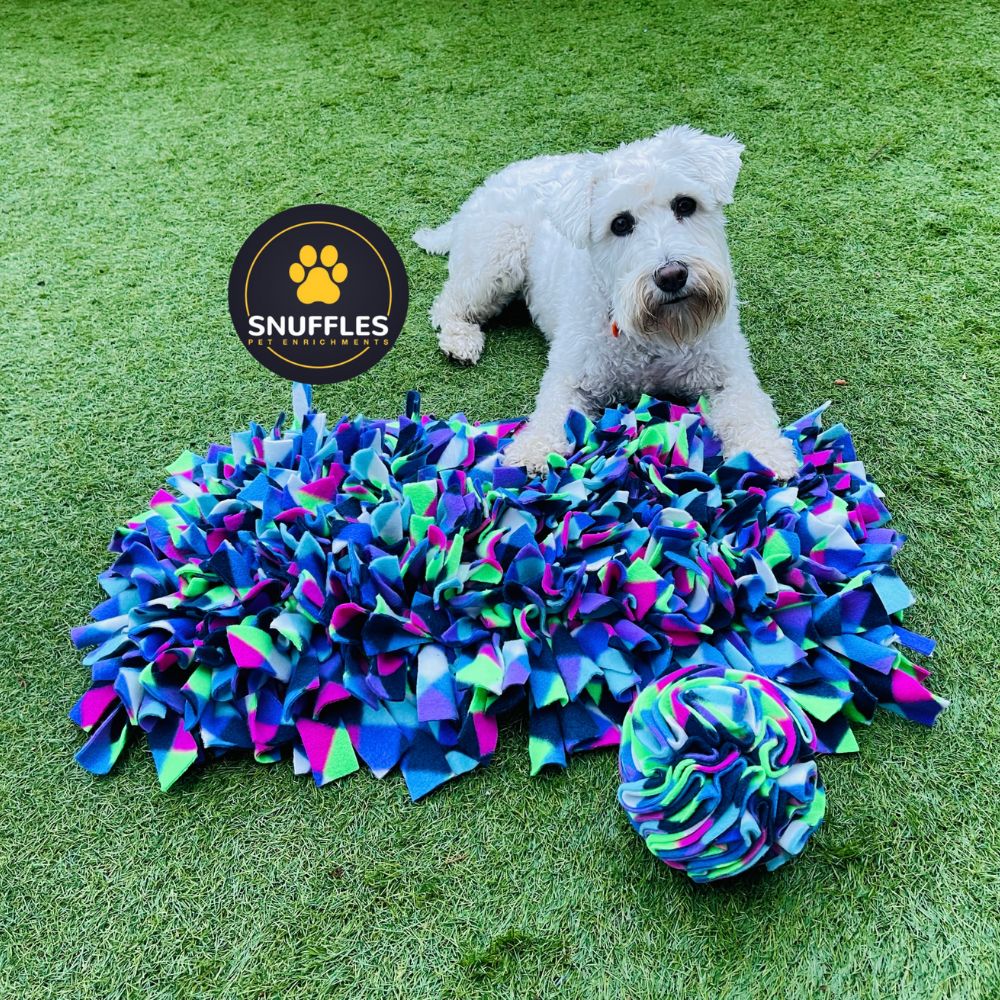 Large Snuffle Mat & Medium Snuffle Ball Set (Free Postage)