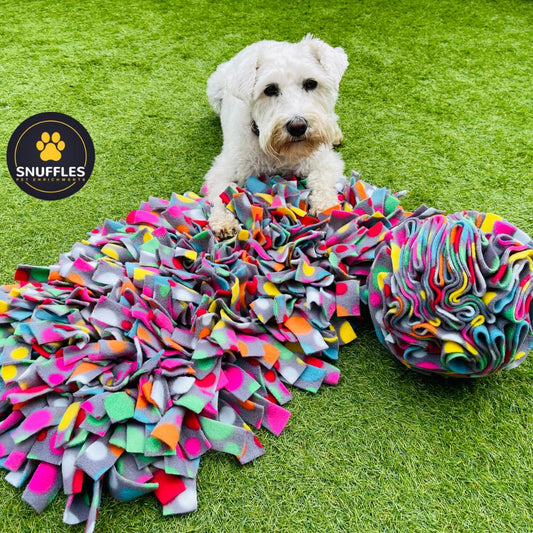 Large Snuffle Mat & Large Snuffle Ball Set (Free Postage)