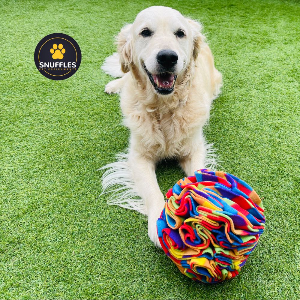 Large Snuffle Ball (Free Postage)