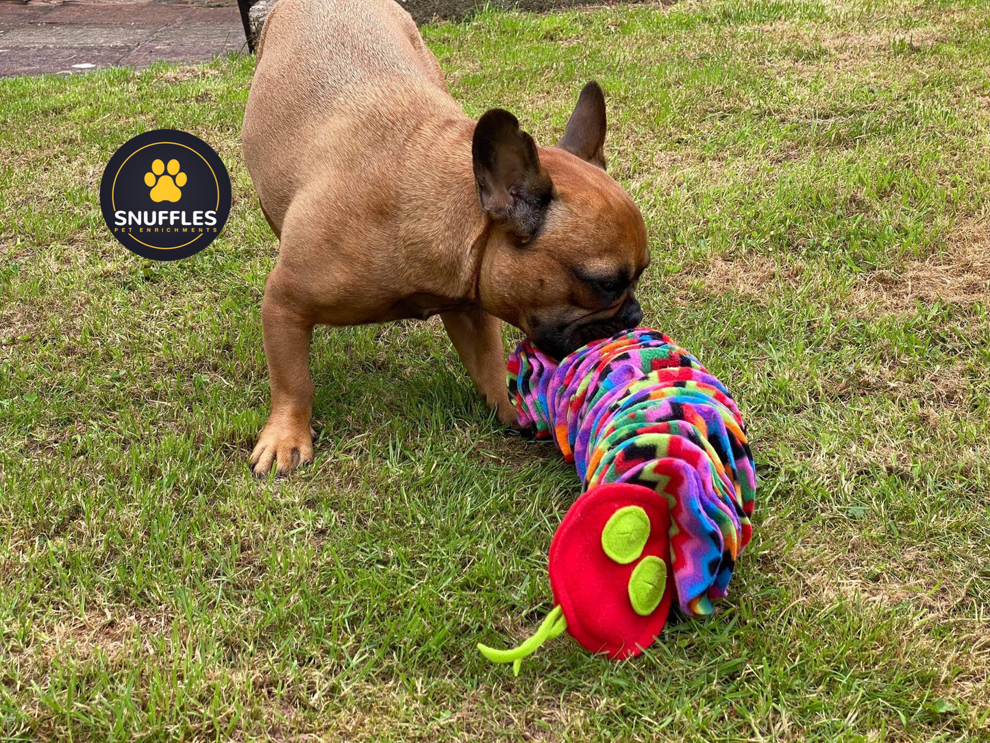 Large Snuffle Snake For Dogs, 10 Colour Options To Choose From