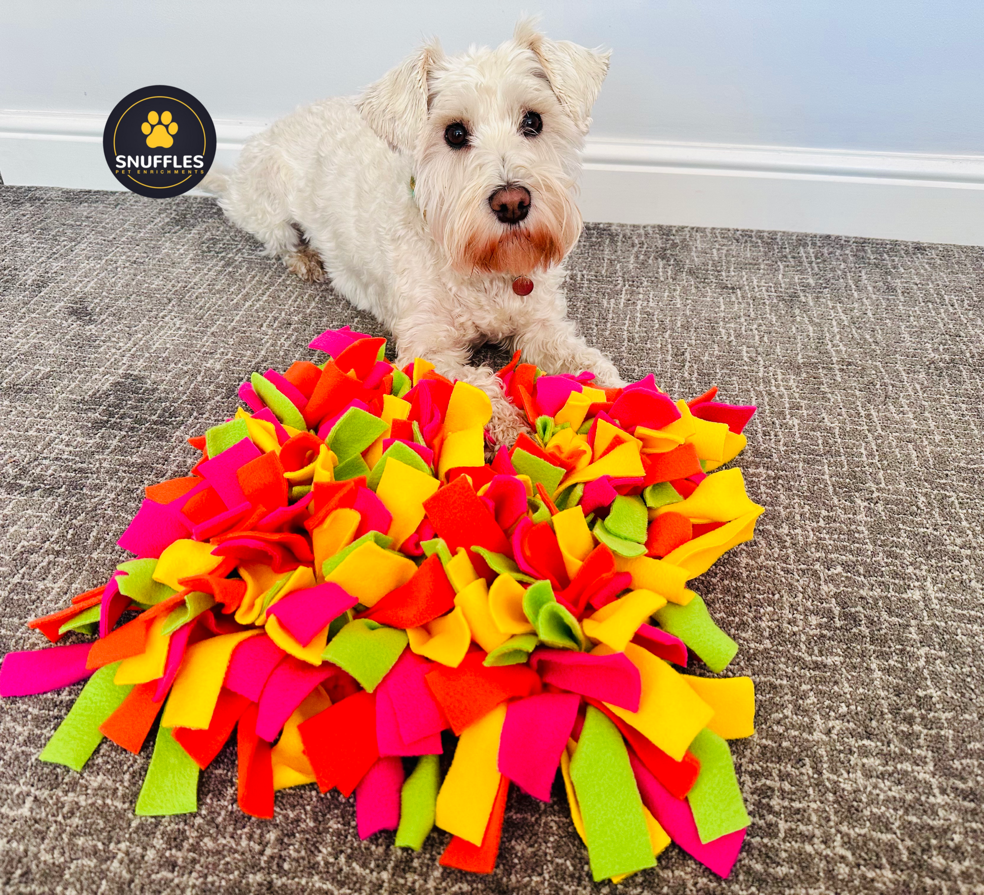 Medium Multicoloured Snuffle Mat For Dogs And Small Pets, 4 Colour Options Available