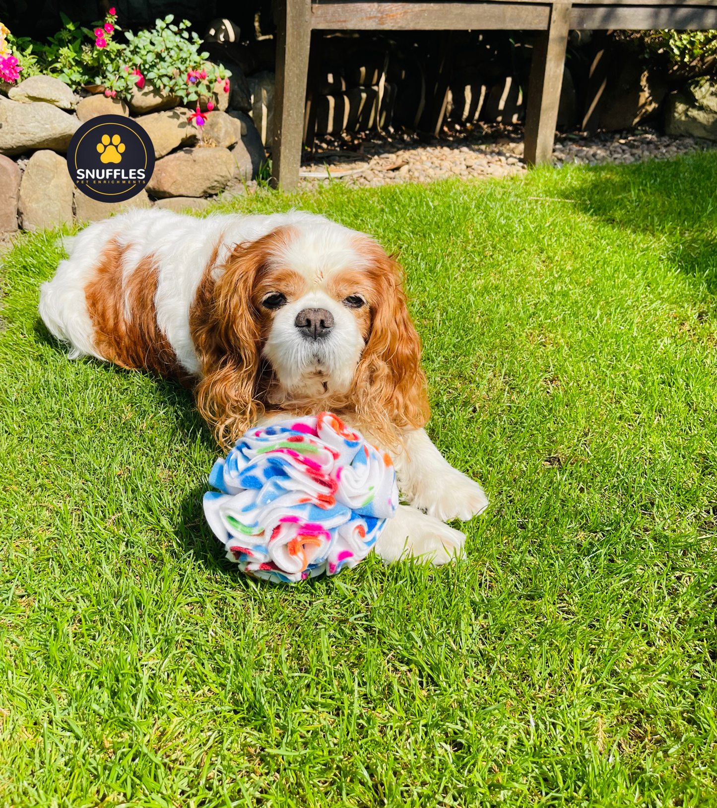 Medium Snuffle Ball For Dogs, 10 Colour Options Available