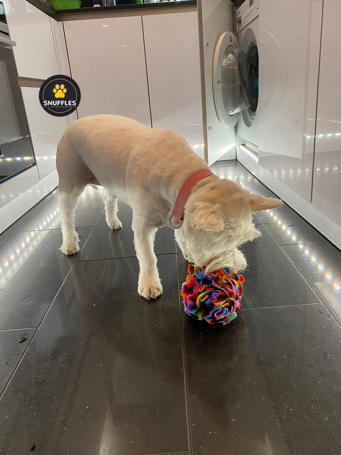 Medium Snuffle Ball For Dogs, 10 Colour Options Available