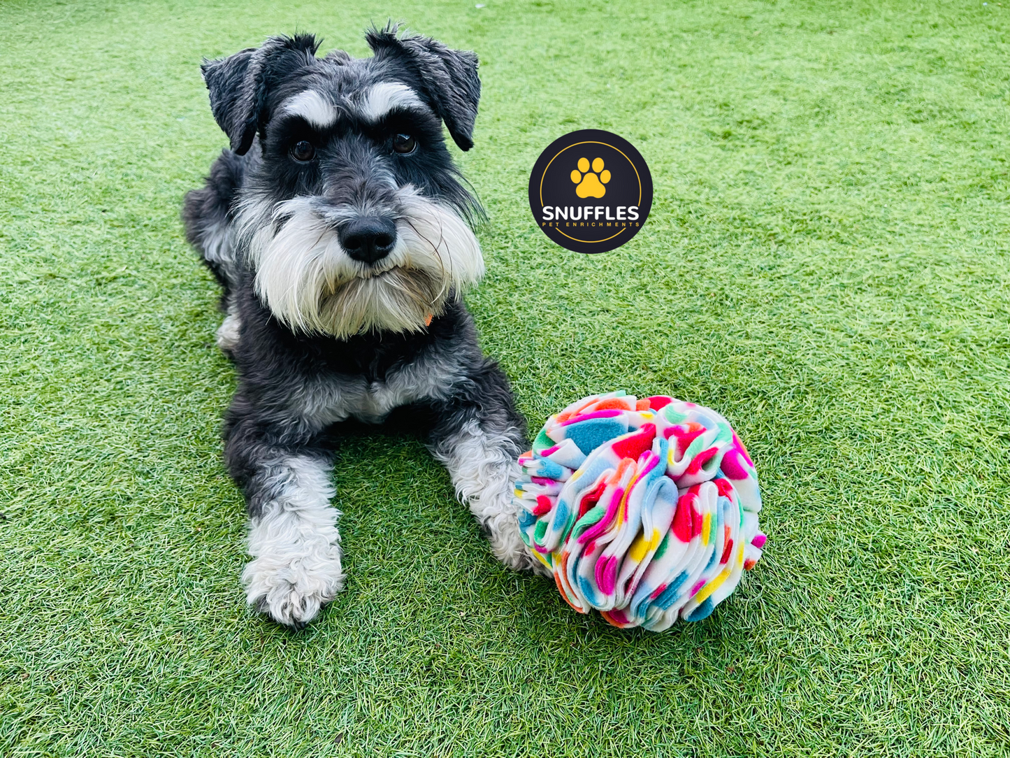 Medium Snuffle Ball For Dogs, 10 Colour Options Available