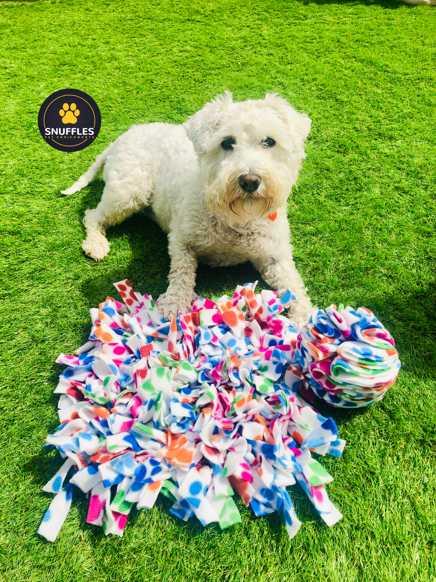 Medium Snuffle Mat And Medium Snuffle Ball Set For Dogs, Available In 10 Colour Option
