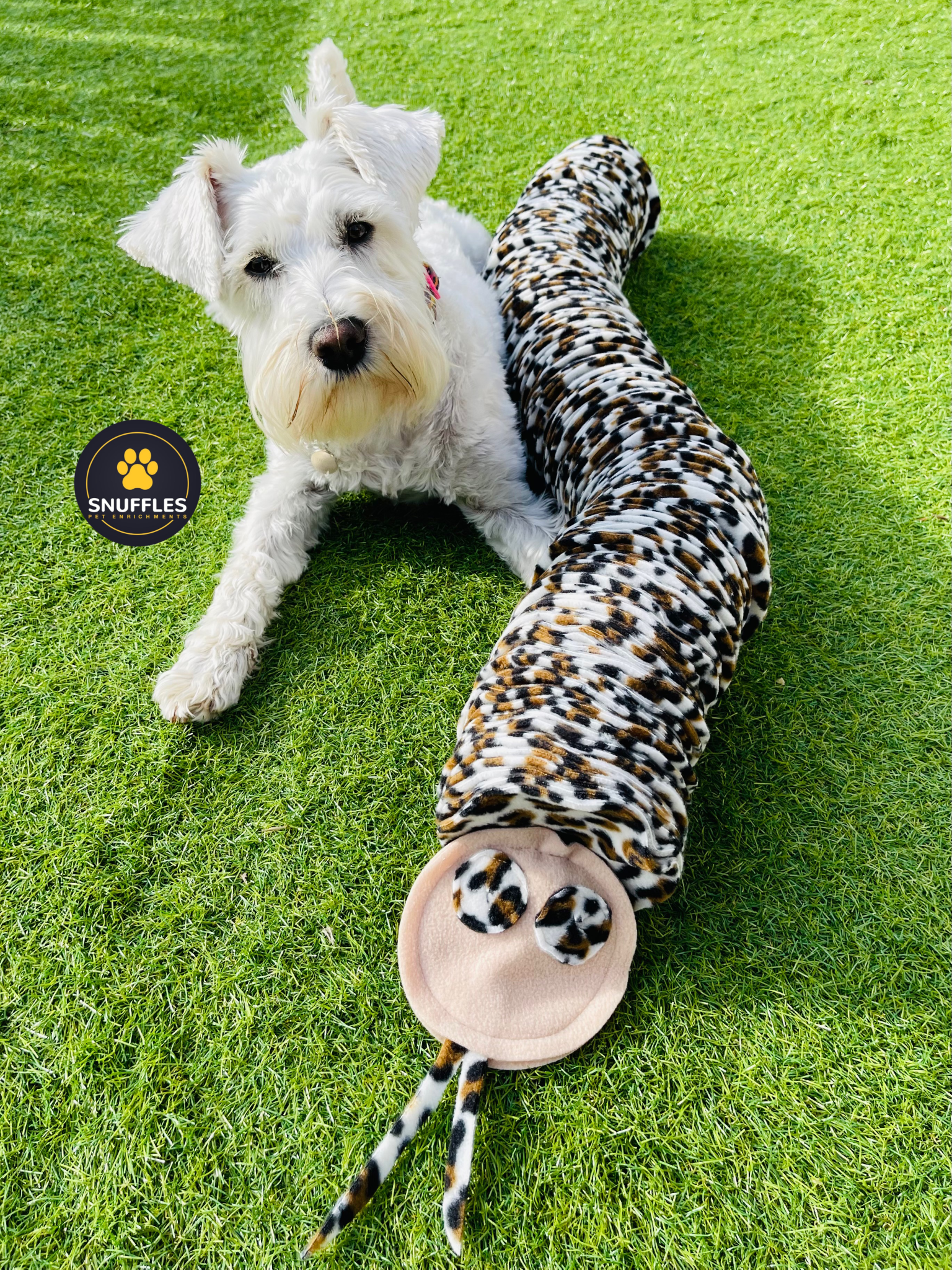 The Metre Long Snuffle Snake For Dogs, Available In 10 Colour Options