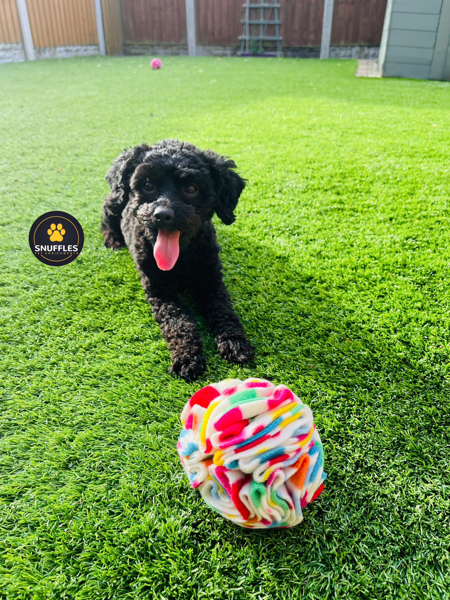 Small Snuffle Ball For Small Dog Breeds And Small Pets, 10 Colour Options Available