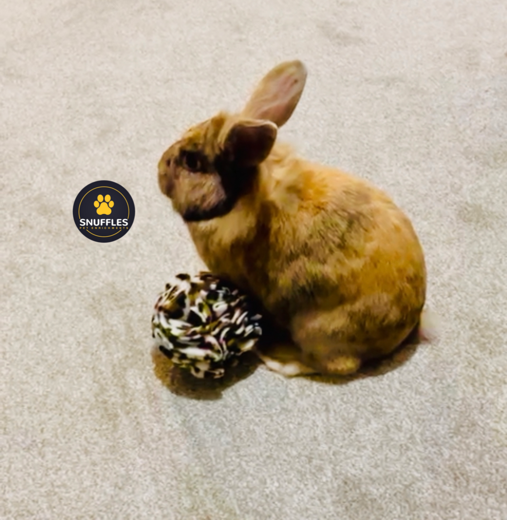 Small Snuffle Ball For Small Dog Breeds And Small Pets, 10 Colour Options Available