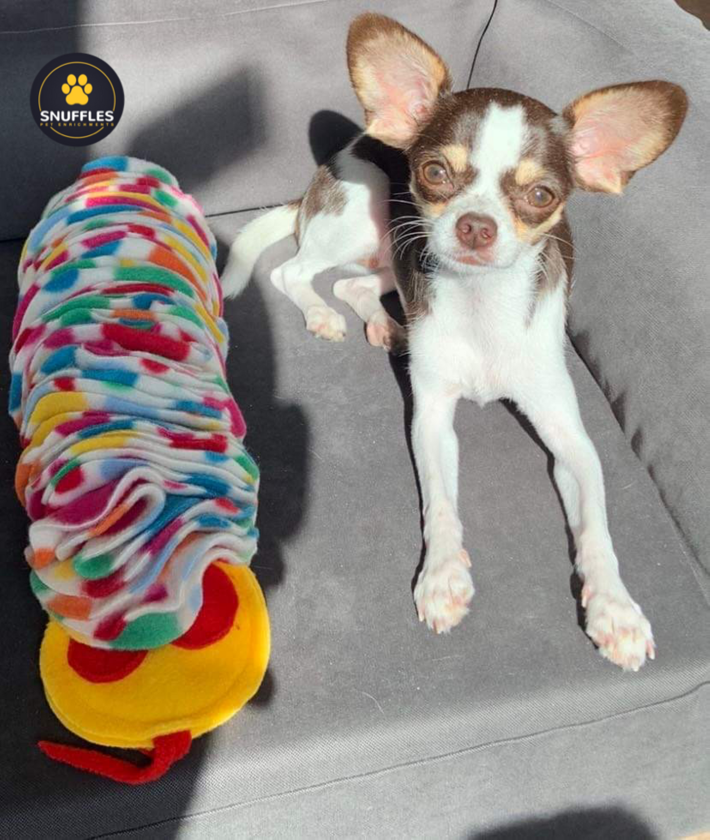 Small Snuffle Snake For Dogs And Small Pets