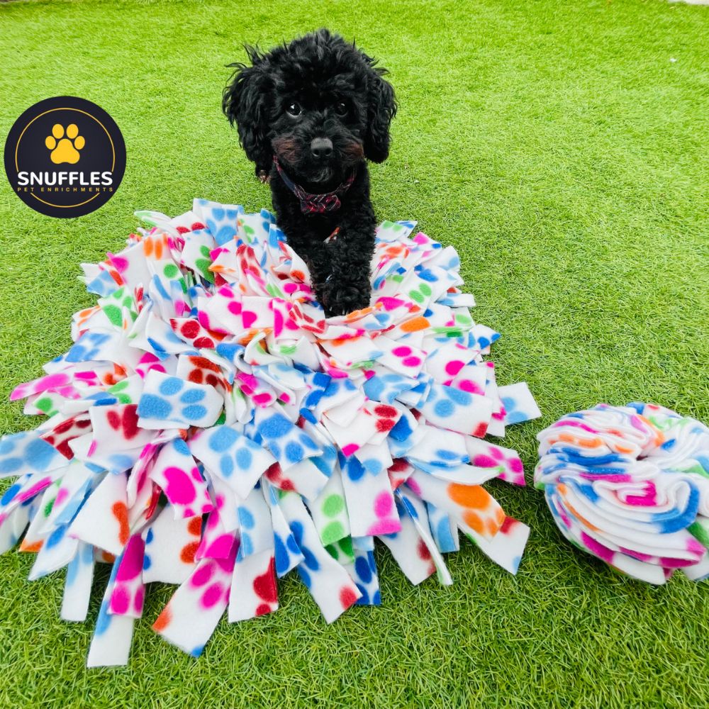 Medium Snuffle Mat & Small Snuffle Ball Set (Free Postage)