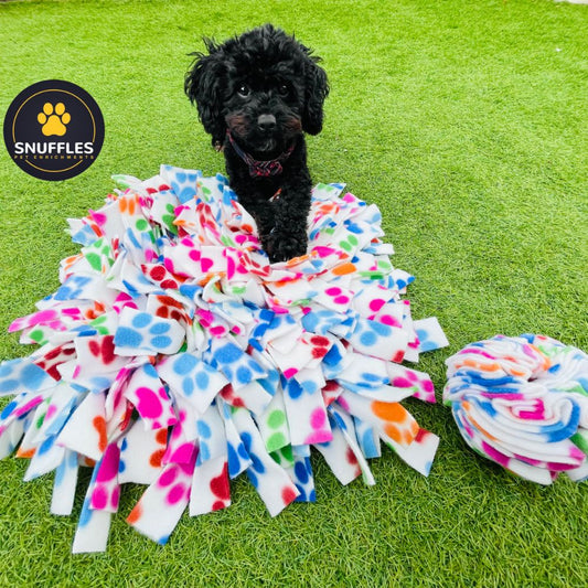 Medium Snuffle Mat & Small Snuffle Ball Set (Free Postage)