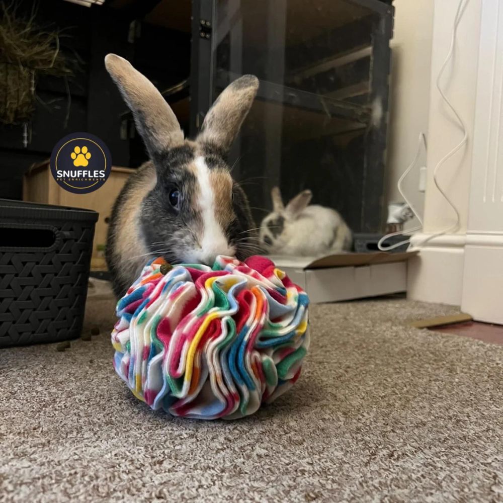 Small Snuffle Ball (Free Postage)