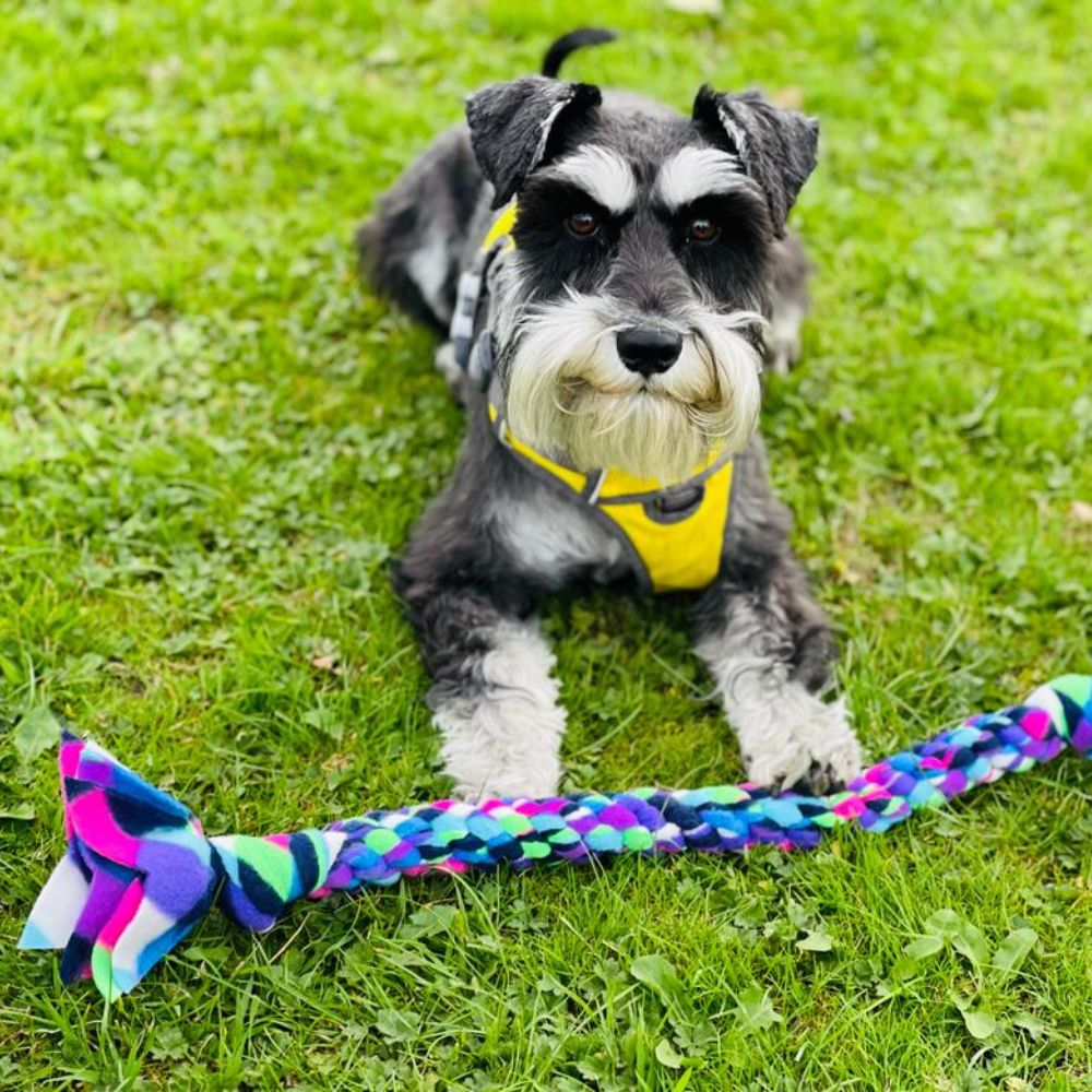 Dog Tugs 3 Sizes Available - Snufflesshop