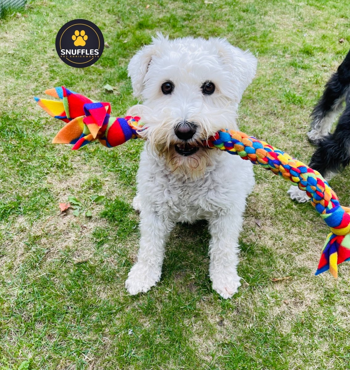 Dog Tugs 3 Sizes Available - Snufflesshop