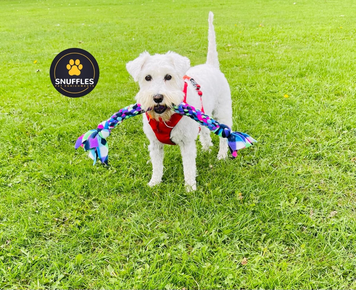 Dog Tugs 3 Sizes Available - Snufflesshop