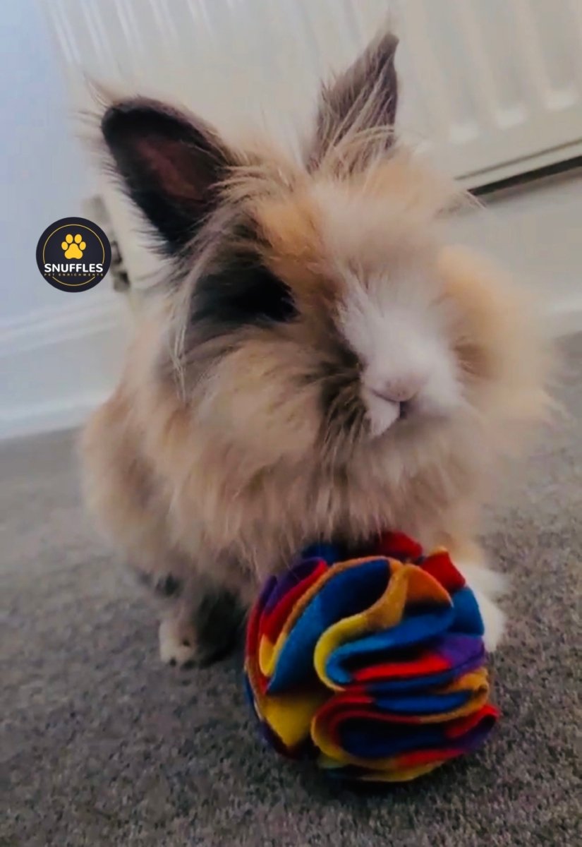 Extra Small Snuffle Ball - Snufflesshop