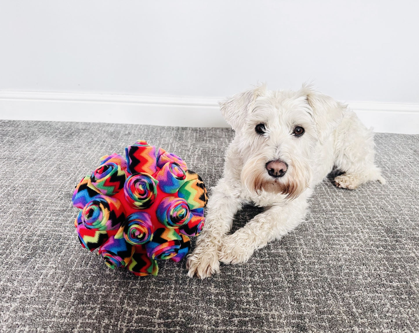 Snuffle Cage Ball in Rainbow Zig Zag