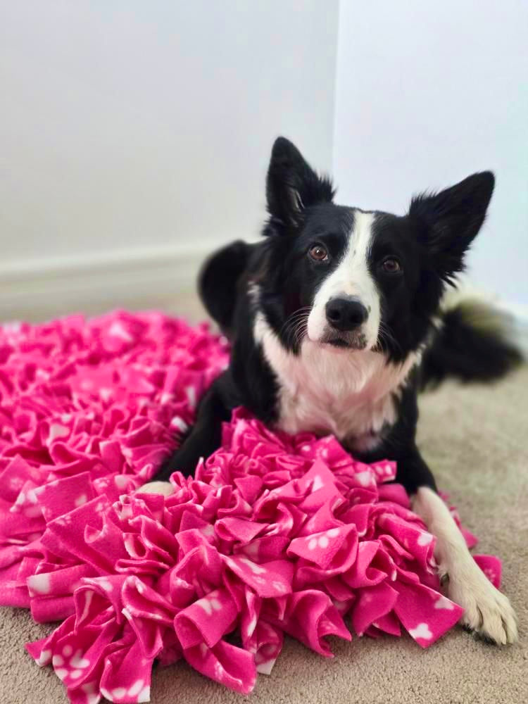 Creating Your Very Own Snuffle Mat - Everything You Will Need