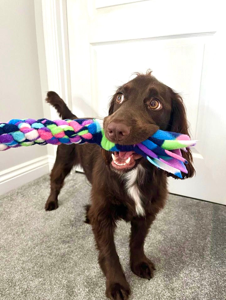 Tug-of-War and Recall: The Ultimate Guide to Dog Tug Toys and Interactive Fun