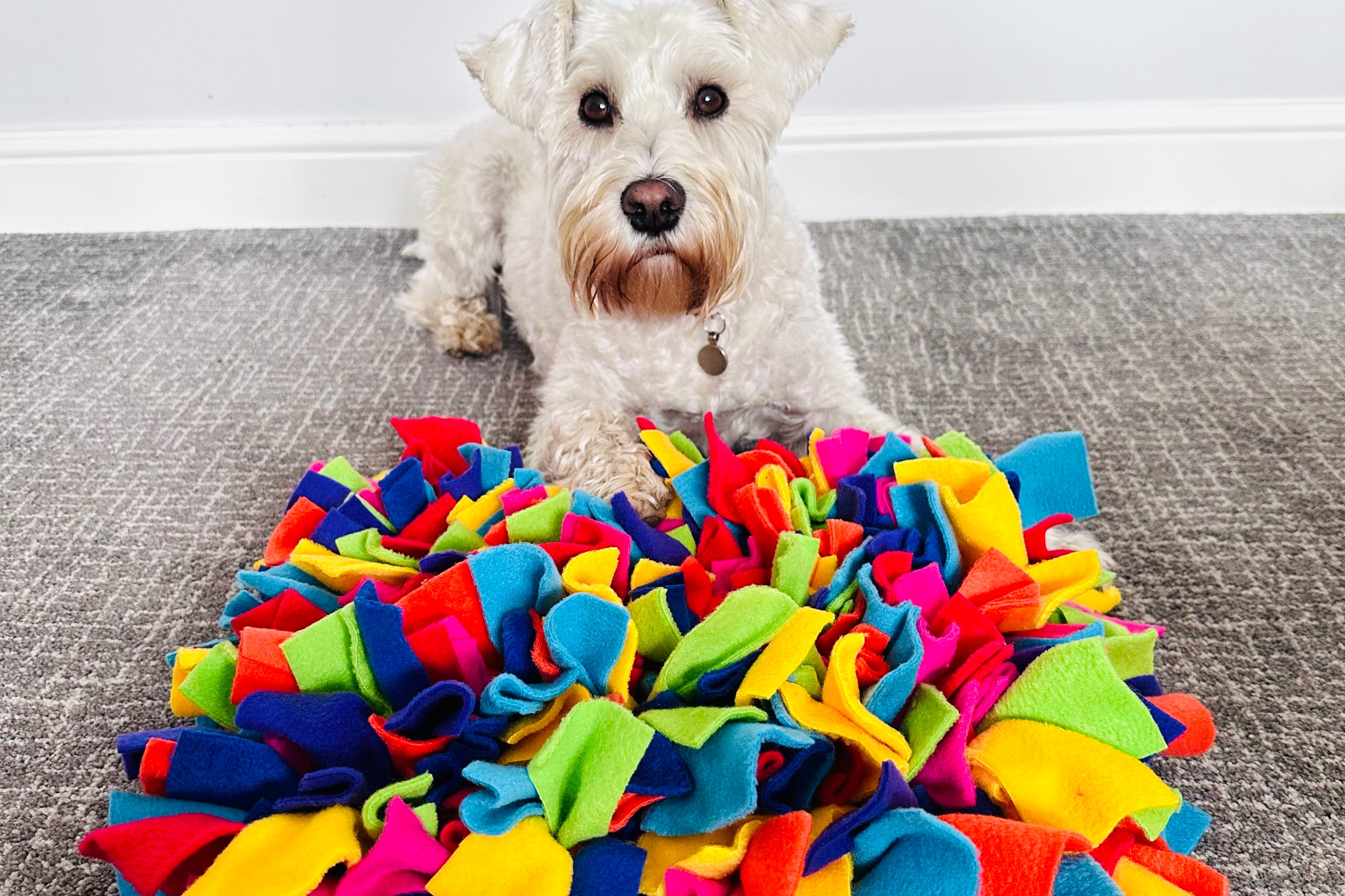 Unleash the Fun: Snuffle Mats and Beyond - Elevating Your Pet's Playti ...