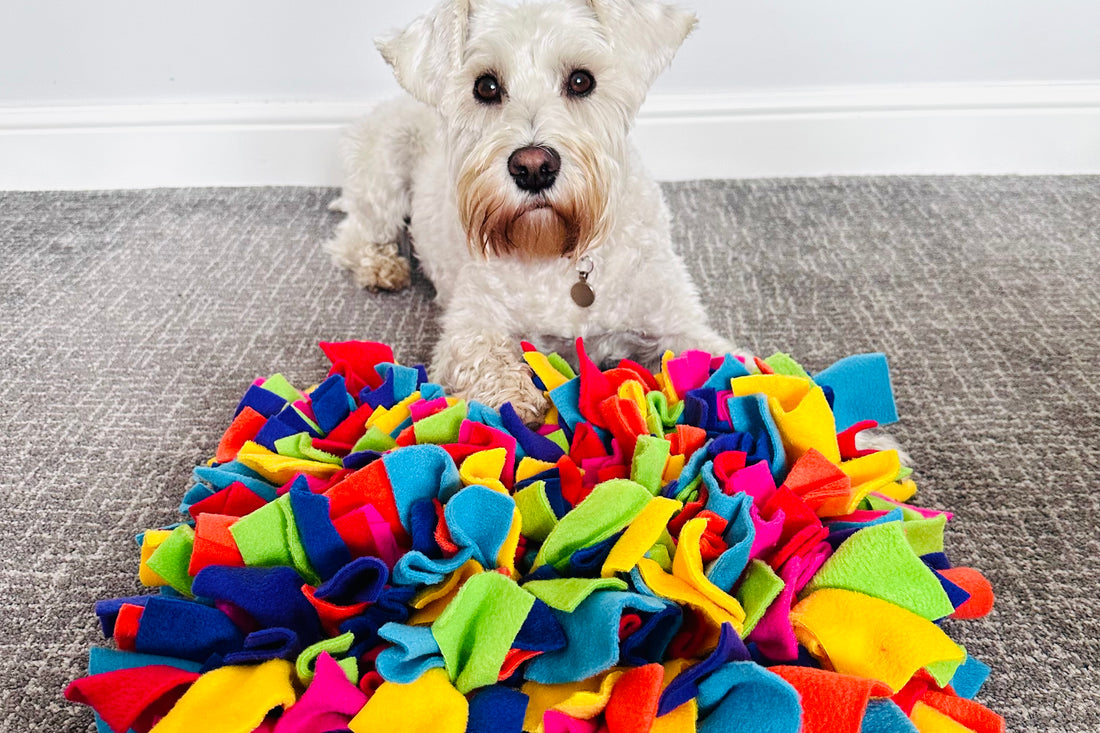 Unleash the Fun: Snuffle Mats and Beyond - Elevating Your Pet's Playtime