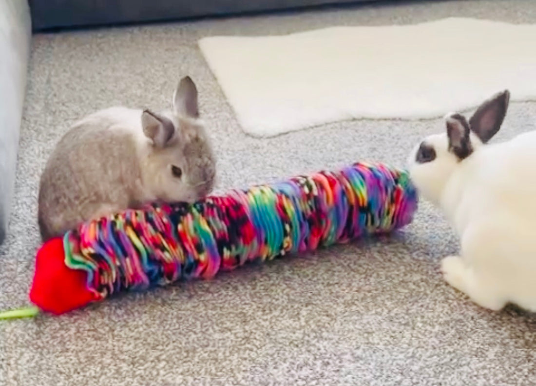 DIY Delights: Creating Rabbit Enrichment Toys for Happy Bunny Hops