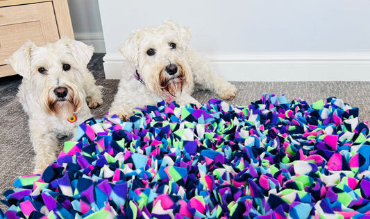 Using a Snuffle Mat effectively:- An owners guide