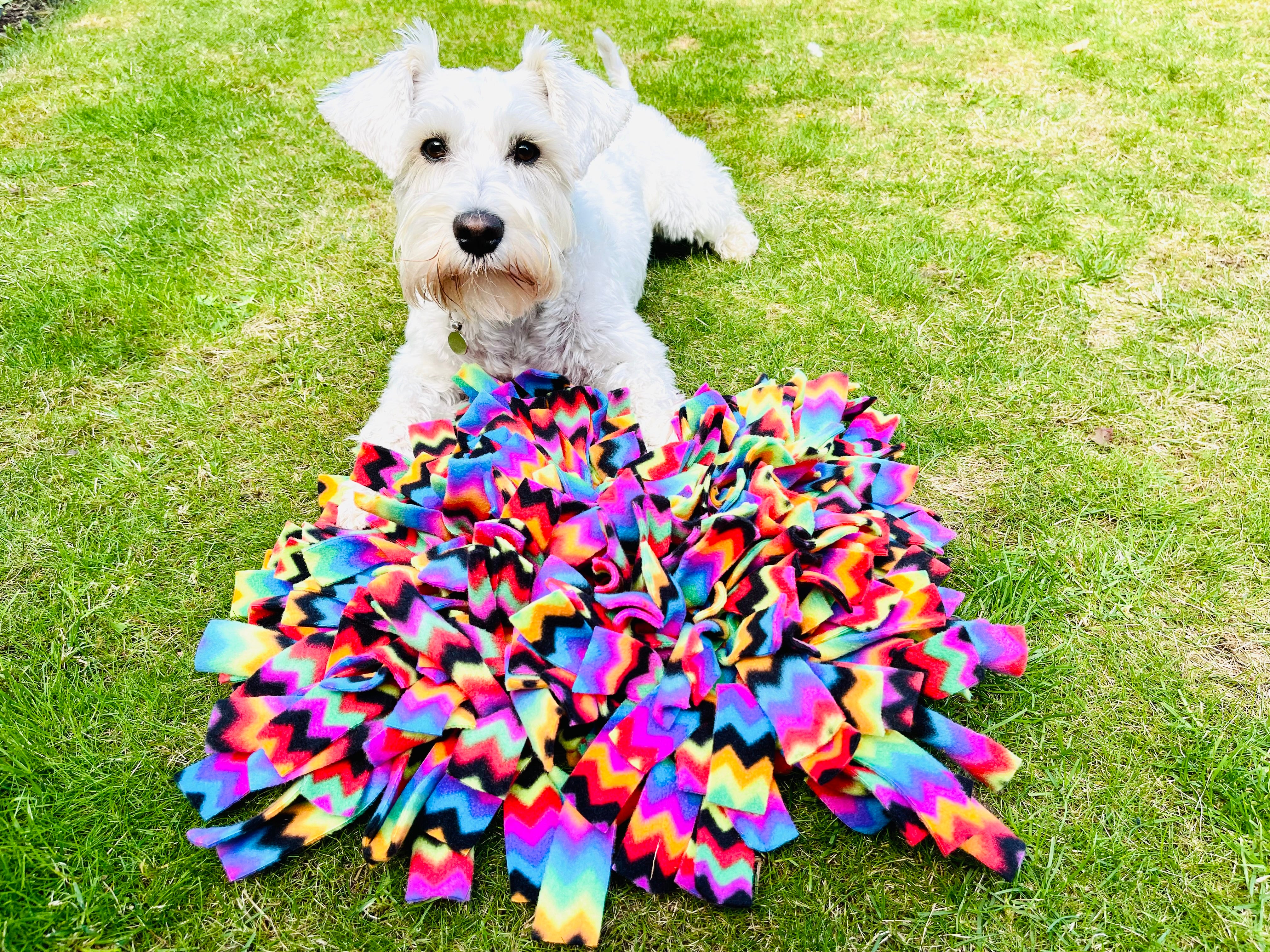 Snuffle Mats – Snufflesshop
