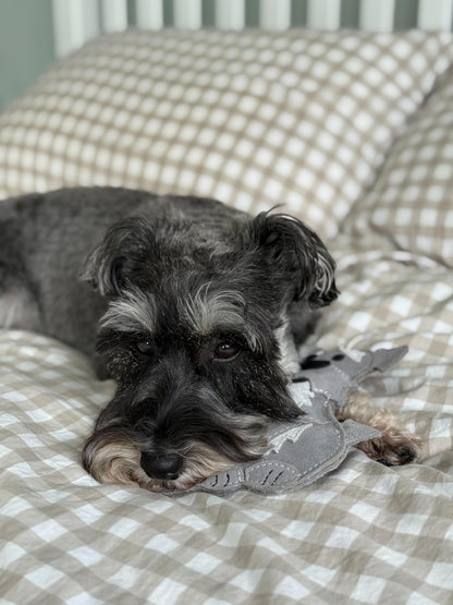 The Schnauzer Collection