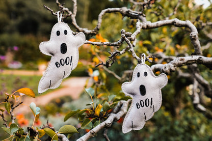 Boo Paul (Free Postage)