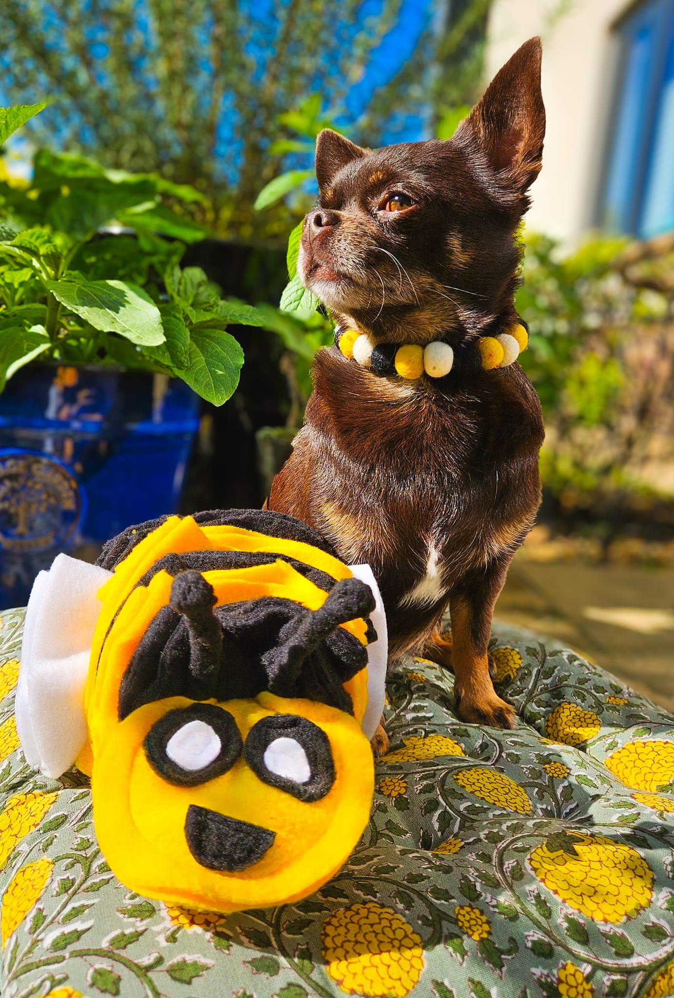 Bumble Buzzle Available In 2 Sizes (Free Postage)