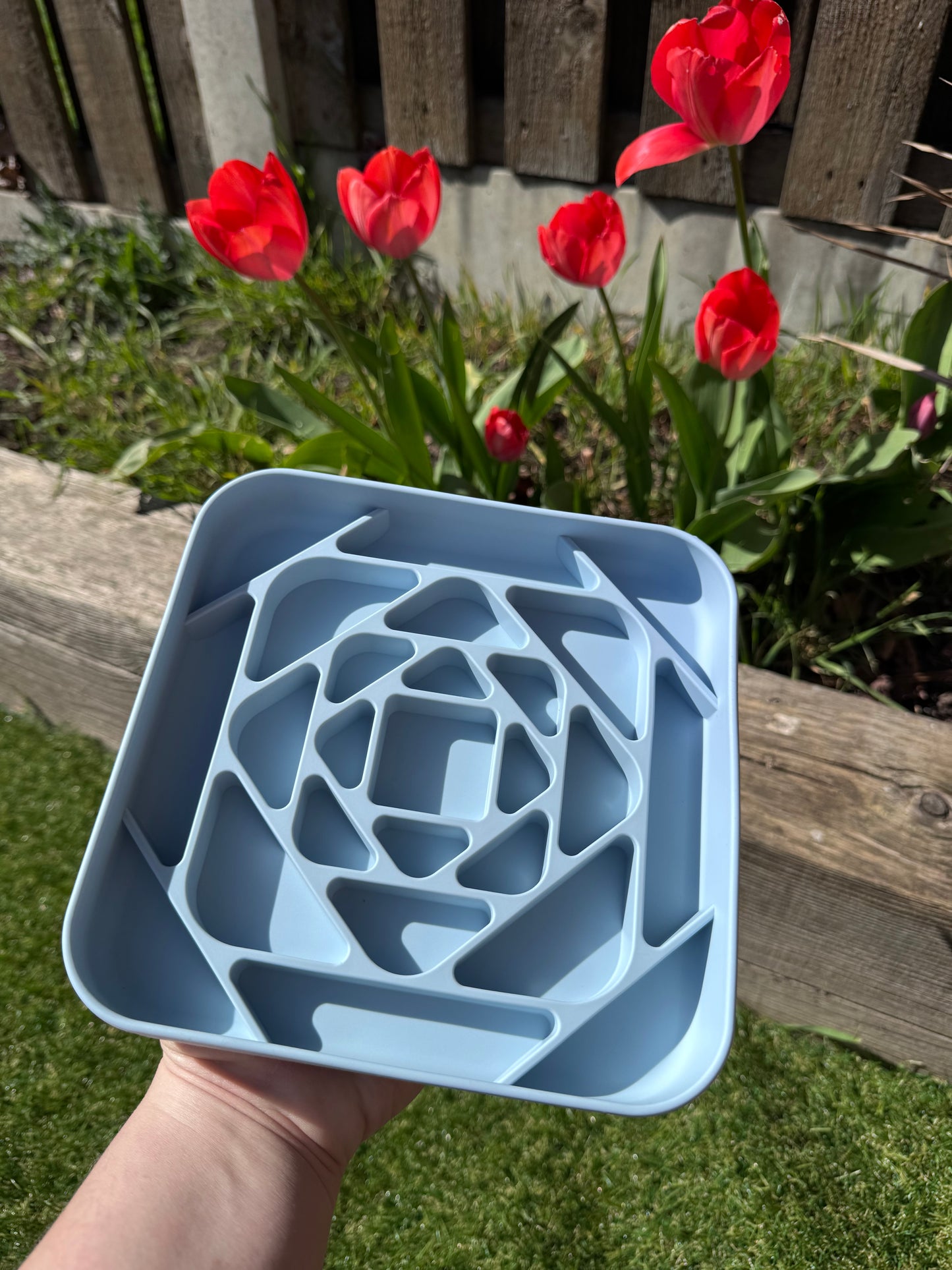 Geometric Enrichment Feeder (Free Postage)