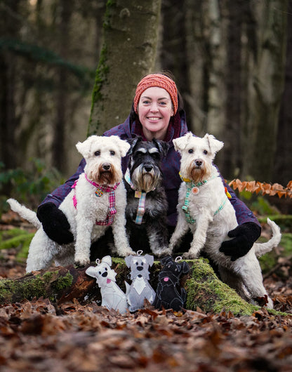 The Schnauzer Collection