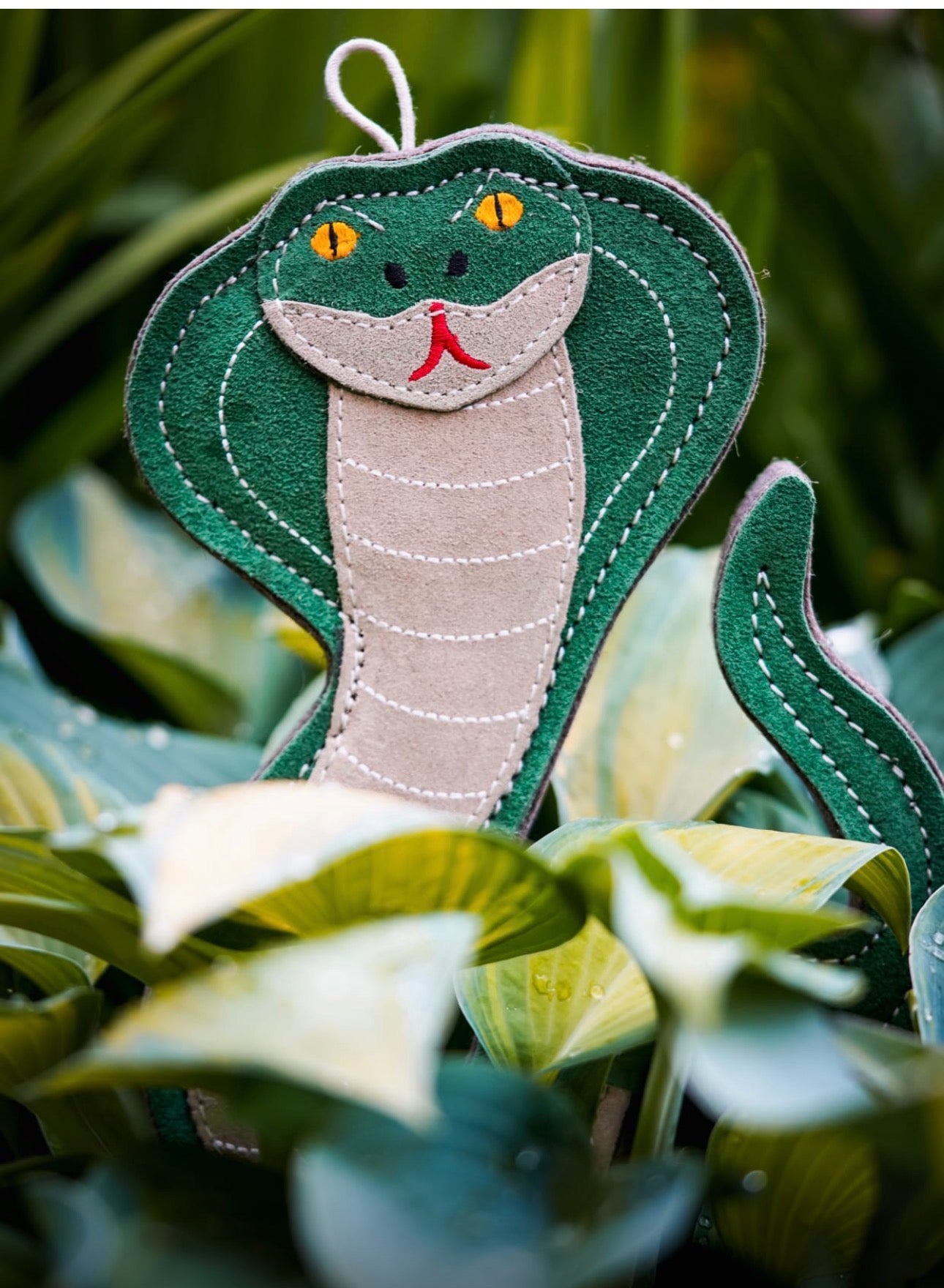 Kai The Cobra