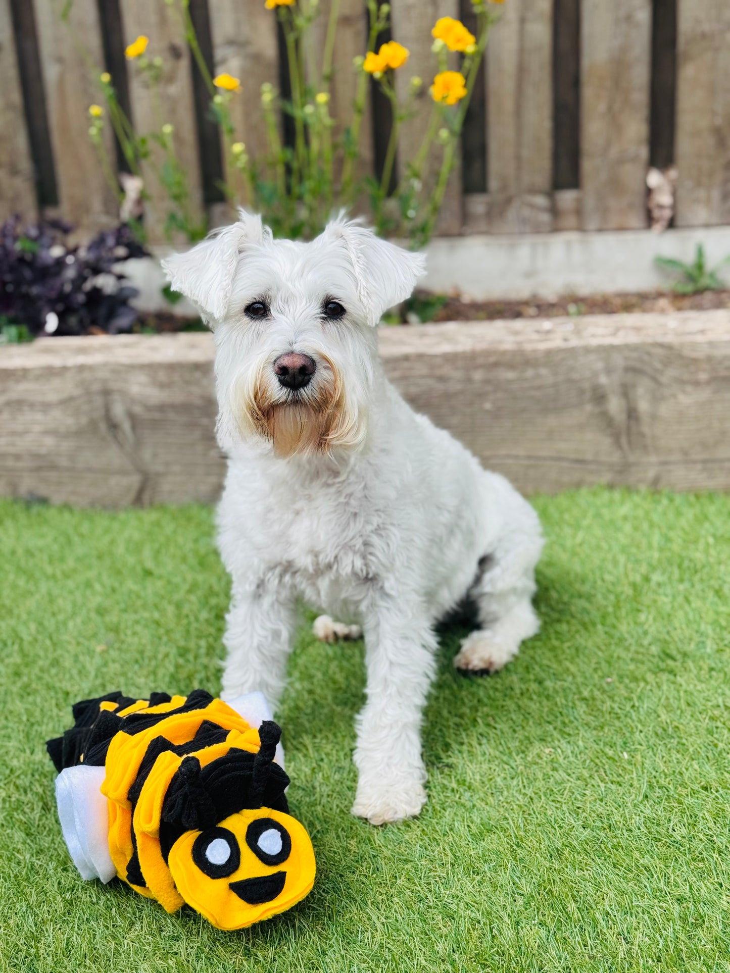 Bumble Buzzle Available In 2 Sizes (Free Postage)