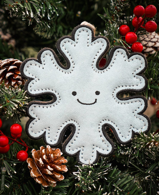 Flakey The Snowflake