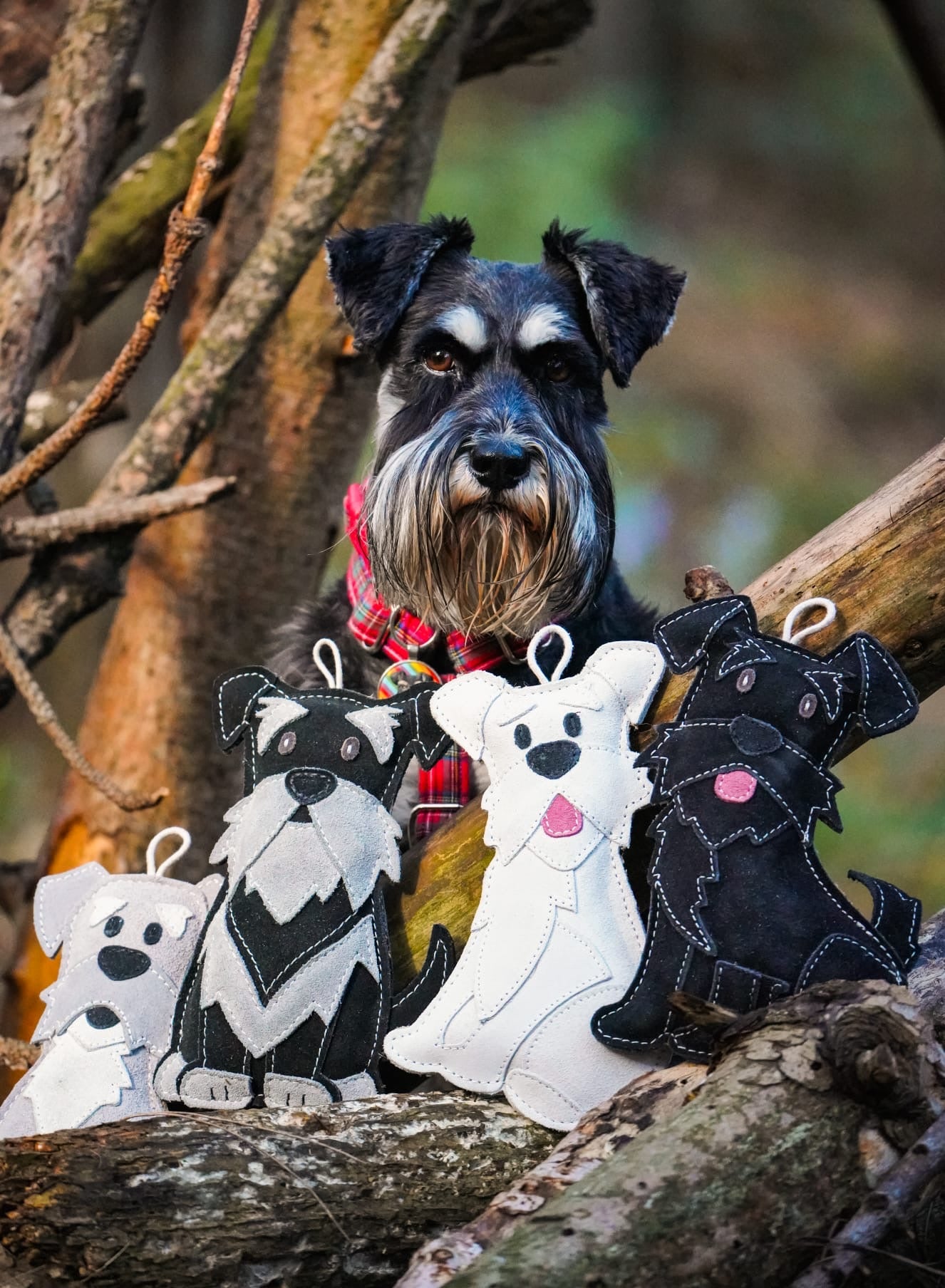 The Schnauzer Collection – Snufflesshop