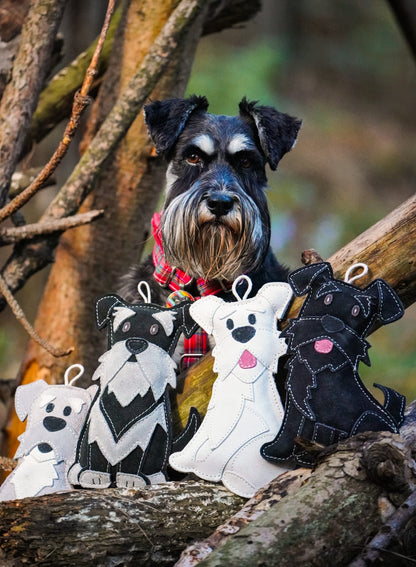 The Schnauzer Collection