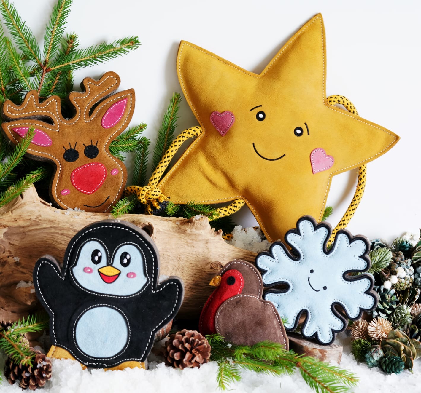 Aurora The XL Star (Free Postage)