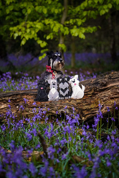 The Schnauzer Collection
