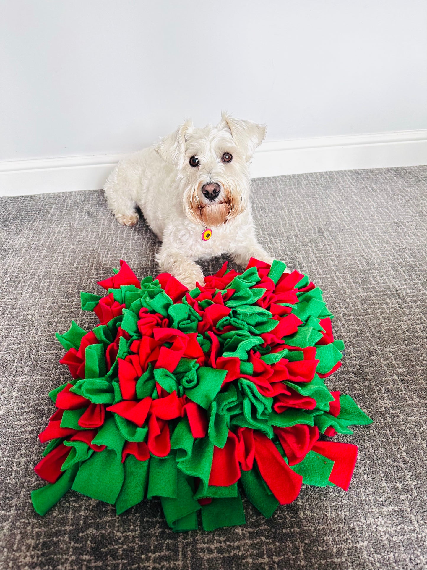 Christmas Snuffle Mats 2 Sizes Available (Free Postage)