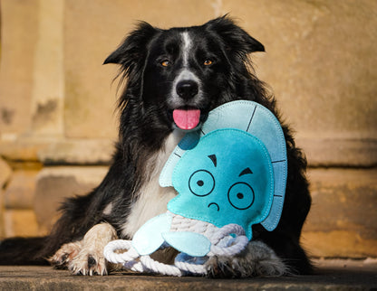 Dave The XL Jellyfish