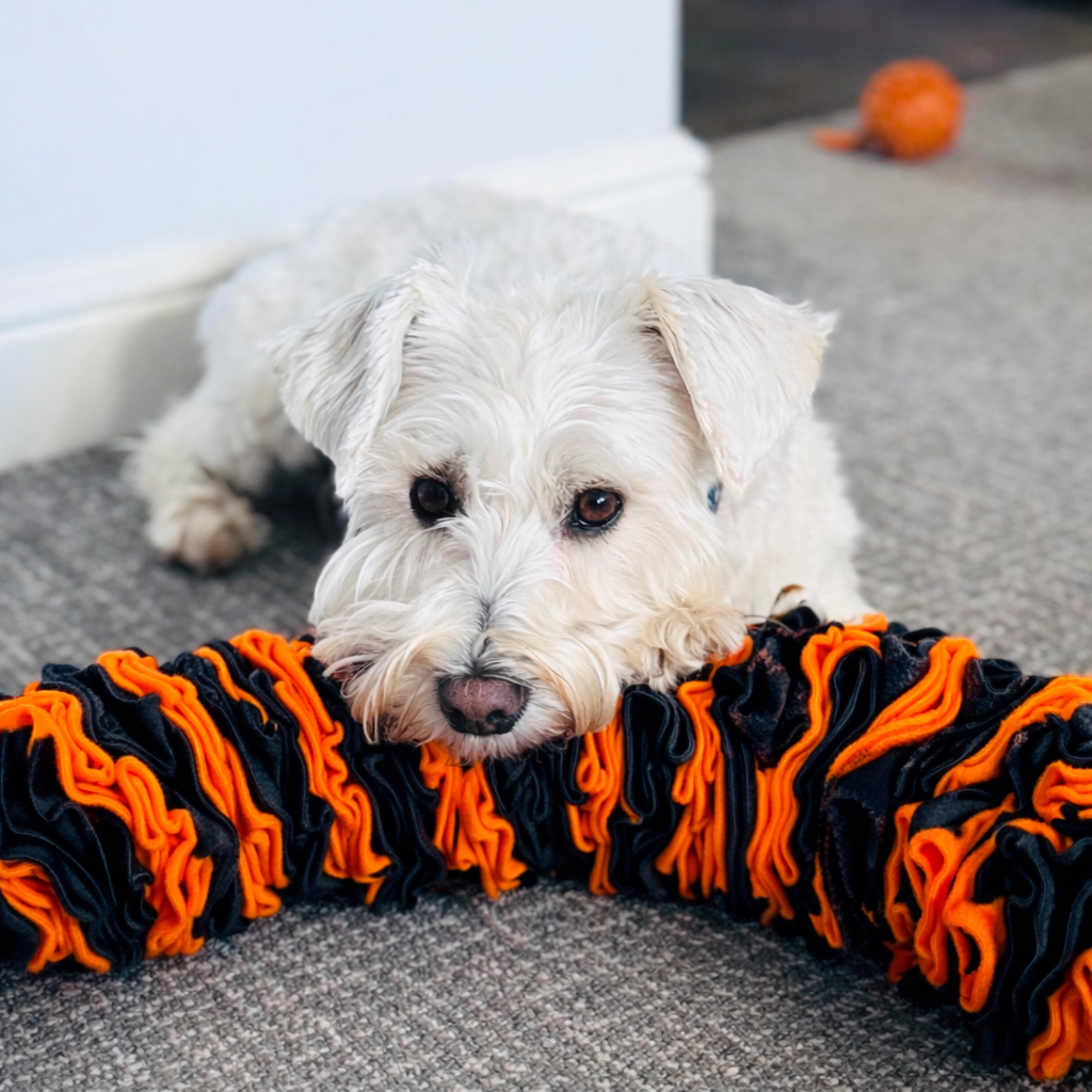 Schnauzerfest Pocket Puzzle, Available In 3 Sizes (15% Of This Order Will Be Donated To The Schnauzerfest Charity)